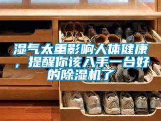 知識百科濕氣太重影響人體健康，提醒你該入手一臺好的除濕機了