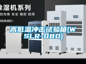 常見問題高低溫沖擊試驗箱(WSLR-080)