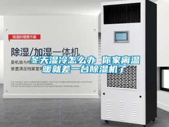 行業(yè)新聞冬天濕冷怎么辦 你家離溫暖就差一臺(tái)除濕機(jī)了