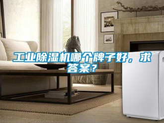 常見(jiàn)問(wèn)題工業(yè)除濕機(jī)哪個(gè)牌子好，求答案？
