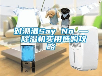 企業新聞對潮濕Say No — 除濕機實用選購攻略