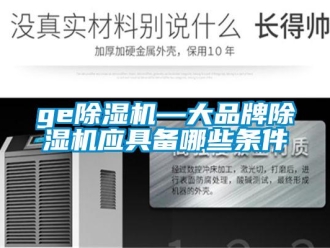 企業(yè)新聞ge除濕機(jī)—大品牌除濕機(jī)應(yīng)具備哪些條件
