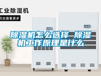 行業(yè)新聞除濕機(jī)怎么選擇 除濕機(jī)工作原理是什么
