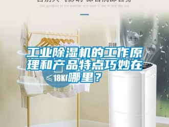 企業新聞工業除濕機的工作原理和產品特點巧妙在哪里？