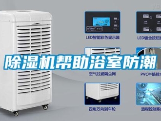 常見問題除濕機幫助浴室防潮