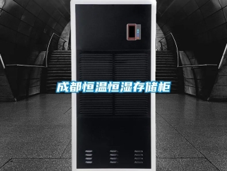知識(shí)百科成都恒溫恒濕存儲(chǔ)柜