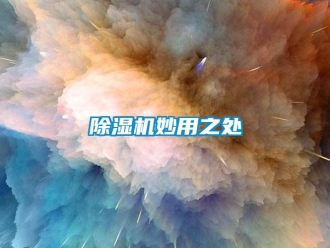 常見問題除濕機妙用之處