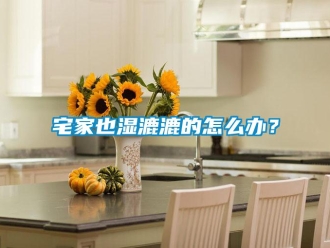 常見問題宅家也濕漉漉的怎么辦？