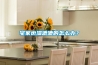 宅家也濕漉漉的怎么辦？