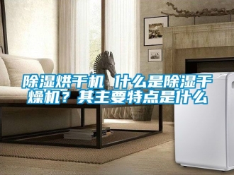企業新聞除濕烘干機 什么是除濕干燥機？其主要特點是什么