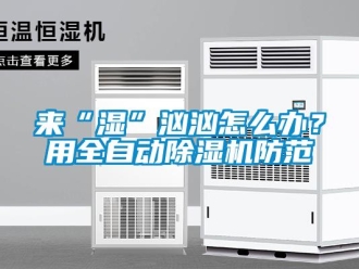 常見(jiàn)問(wèn)題來(lái)“濕”洶洶怎么辦？用全自動(dòng)除濕機(jī)防范