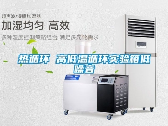 常見問題熱循環 高低溫循環實驗箱低噪音
