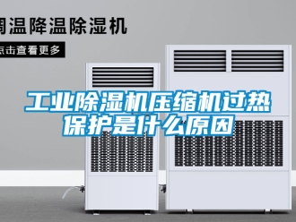 常見問題工業除濕機壓縮機過熱保護是什么原因