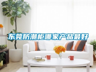 常見問題東莞防潮柜哪家產(chǎn)品最好