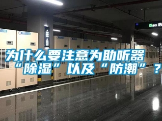 常見問題為什么要注意為助聽器“除濕”以及“防潮”？
