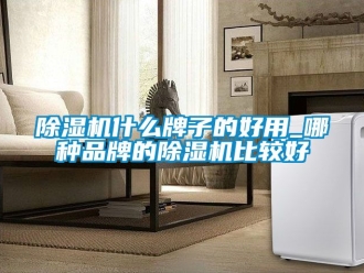 企業新聞除濕機什么牌子的好用_哪種品牌的除濕機比較好