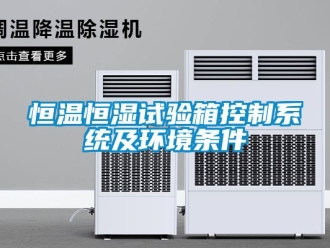 知識百科恒溫恒濕試驗箱控制系統(tǒng)及環(huán)境條件