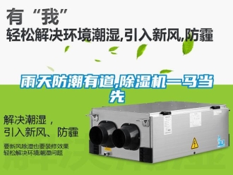 知識百科雨天防潮有道,除濕機一馬當先