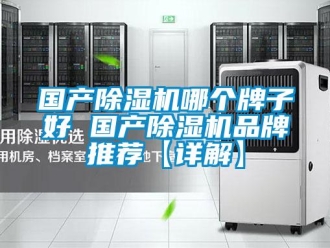 企業(yè)新聞國(guó)產(chǎn)除濕機(jī)哪個(gè)牌子好 國(guó)產(chǎn)除濕機(jī)品牌推薦【詳解】