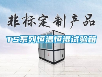 常見問題TS系列恒溫恒濕試驗箱