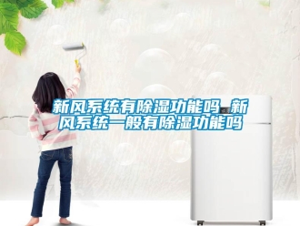 行業新聞新風系統有除濕功能嗎 新風系統一般有除濕功能嗎