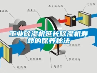 企業新聞工業除濕機延長除濕機壽命的保養秘法