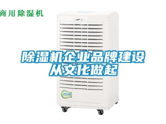 常見問題除濕機(jī)企業(yè)品牌建設(shè)從文化做起