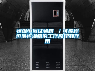 知識百科恒溫恒濕試驗箱 ／可編程恒溫恒濕箱的工作原理和作用