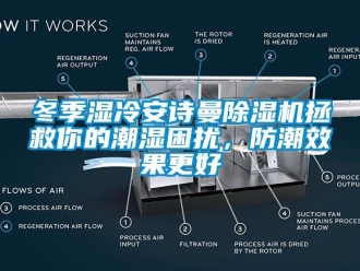 企業(yè)新聞冬季濕冷安詩(shī)曼除濕機(jī)拯救你的潮濕困擾，防潮效果更好