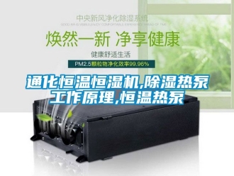 知識百科通化恒溫恒濕機,除濕熱泵工作原理,恒溫熱泵