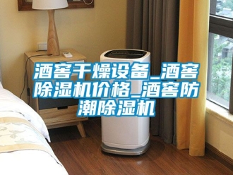 企業(yè)新聞酒窖干燥設(shè)備_酒窖除濕機(jī)價(jià)格_酒窖防潮除濕機(jī)