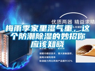 常見(jiàn)問(wèn)題梅雨季家里濕氣重，這個(gè)防潮除濕的妙招你應(yīng)該知曉