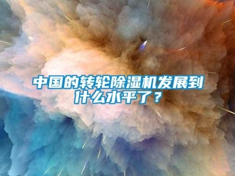 常見問題中國的轉輪除濕機發展到什么水平了？