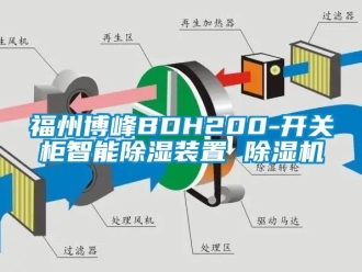 行業(yè)新聞福州博峰BDH200-開關(guān)柜智能除濕裝置 除濕機(jī)
