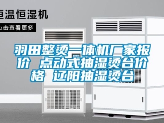企業新聞羽田整燙一體機廠家報價 點動式抽濕燙臺價格 遼陽抽濕燙臺