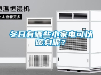 企業新聞冬日有哪些小家電可以暖身呢？