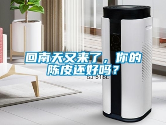 常見問題回南天又來了，你的陳皮還好嗎？