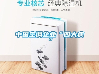 知識百科中國空調企業“四大病”