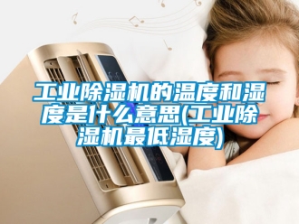 常見問題工業除濕機的溫度和濕度是什么意思(工業除濕機最低濕度)