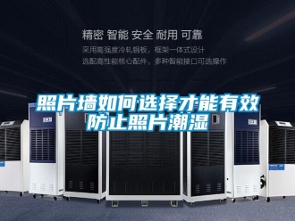 常見問題照片墻如何選擇才能有效防止照片潮濕