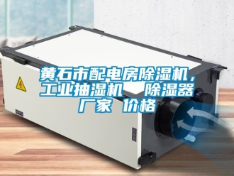 企業(yè)新聞黃石市配電房除濕機(jī)，工業(yè)抽濕機(jī)  除濕器廠家 價格