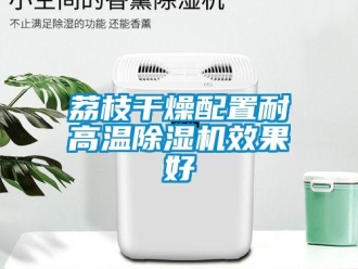 行業新聞荔枝干燥配置耐高溫除濕機效果好