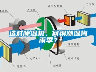 知識百科選對除濕機(jī)，何懼潮濕梅雨季？