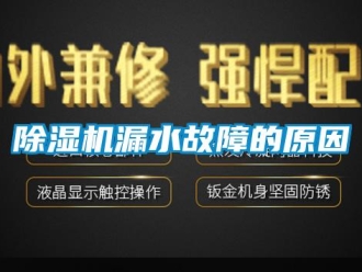 常見問題除濕機漏水故障的原因