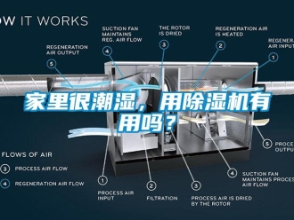 常見問題家里很潮濕，用除濕機有用嗎？