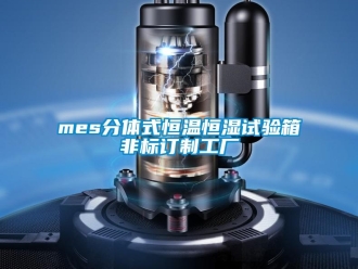 常見問題mes分體式恒溫恒濕試驗(yàn)箱非標(biāo)訂制工廠