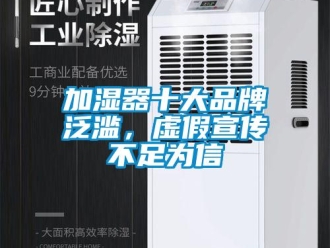 行業(yè)新聞加濕器十大品牌泛濫，虛假宣傳不足為信