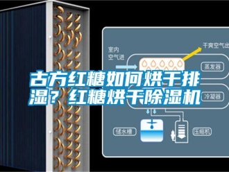 常見問題古方紅糖如何烘干排濕？紅糖烘干除濕機