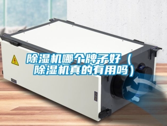 行業(yè)新聞除濕機哪個牌子好（ 除濕機真的有用嗎）