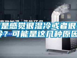 知識(shí)百科總是感覺很濕冷或者很怕冷？可能是這幾種原因！